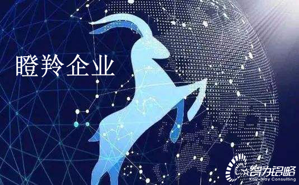 關(guān)于印發(fā)《江蘇省瞪羚企業(yè)培育實施方案》通知