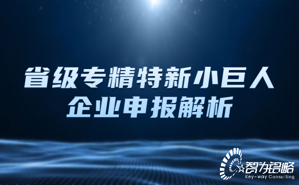 省級專精特新小巨人企業(yè)申報解析.jpg