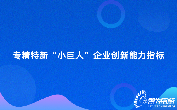 專精特新“小巨人”企業(yè)創(chuàng)新能力指標.jpg