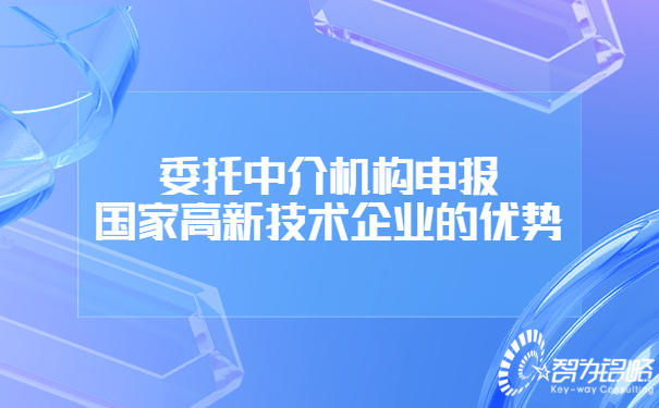 委托中介機(jī)構(gòu)申報(bào)國(guó)家高新技術(shù)企業(yè)的優(yōu)勢(shì).jpg