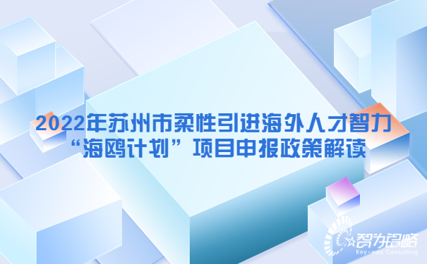 2022年蘇州市柔性引進(jìn)海外人才智力“海鷗計(jì)劃”項(xiàng)目咨詢政策解讀.jpg