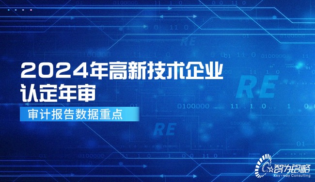 2024年高新技術企業(yè)認定年審—審計報告數(shù)據(jù)重點.jpg