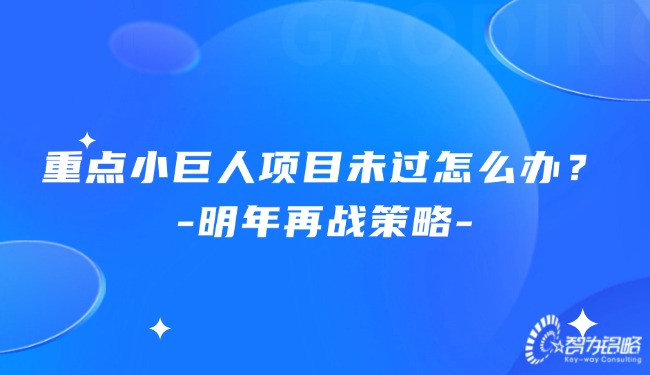 重點小巨人項目未過怎么辦？明年再戰(zhàn)策略.jpg