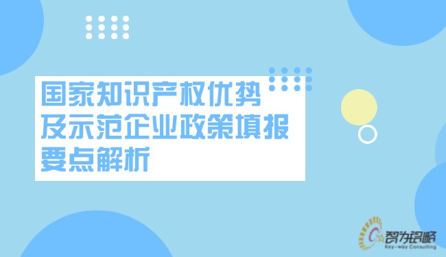 國家知識產(chǎn)權(quán)優(yōu)勢及示范企業(yè)政策填報要點解析.jpg