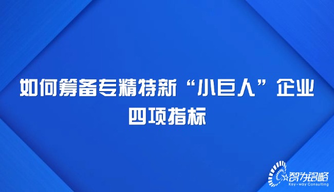 如何籌備專精特新“小巨人”企業(yè)四項(xiàng)指標(biāo).jpg