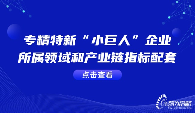 專精特新“小巨人”企業(yè)的所屬領域和產業(yè)鏈指標配套.jpg