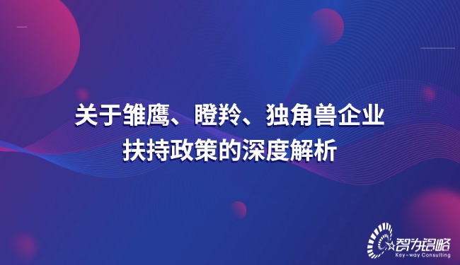 關(guān)于雛鷹、瞪羚、獨角獸企業(yè)扶持政策的深度解析.jpg