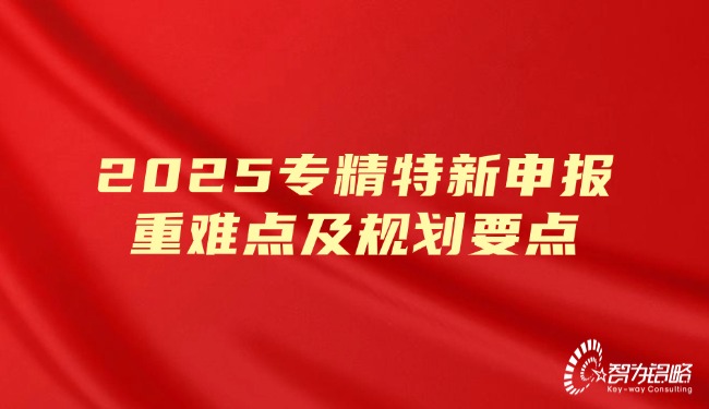 2025專精特新申報重難點及規(guī)劃要點.jpg