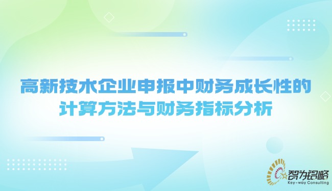 高新技術(shù)企業(yè)申報(bào)中財(cái)務(wù)成長(zhǎng)性的計(jì)算方法與財(cái)務(wù)指標(biāo)分析.jpg