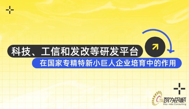 科技、工信和發(fā)改等研發(fā)平臺(tái)在國(guó)家專精特新小巨人企業(yè)培育中的作用.jpg